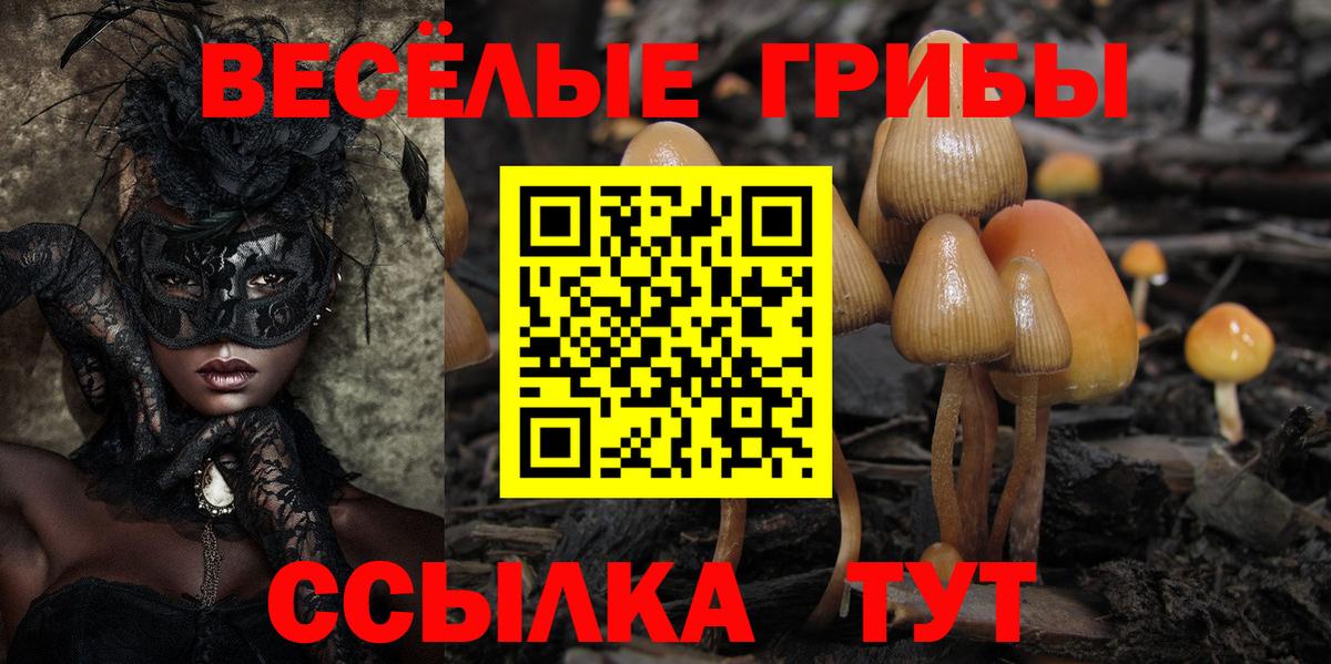 Псилоцибиновые грибы прущие грибы Камышин