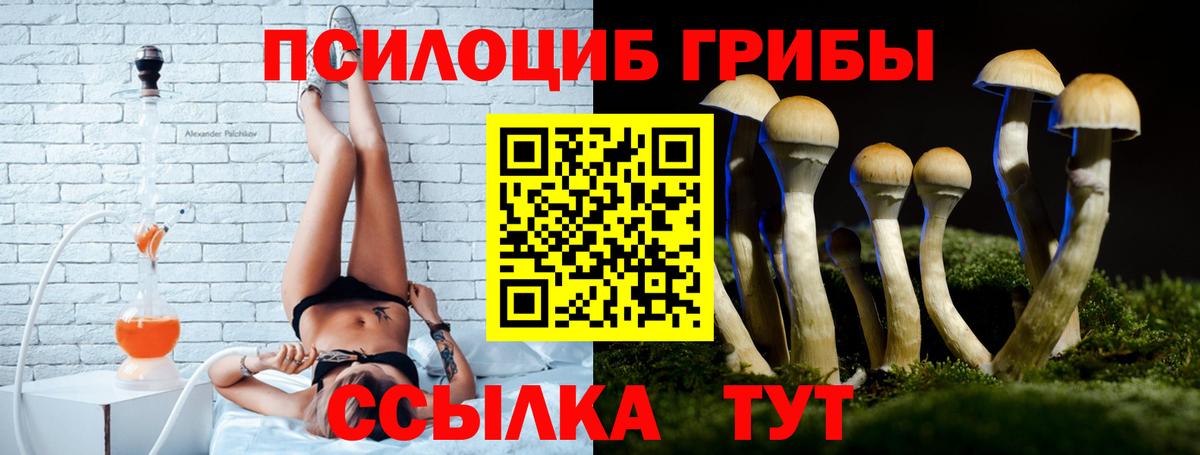 Камышин  Псилоцибиновые грибы MAGIC MUSHROOMS  Вход с VPN 